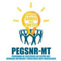 PEGSNR-MT